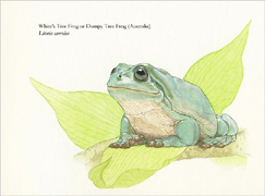 Click for Larger View of White's Tree Frog